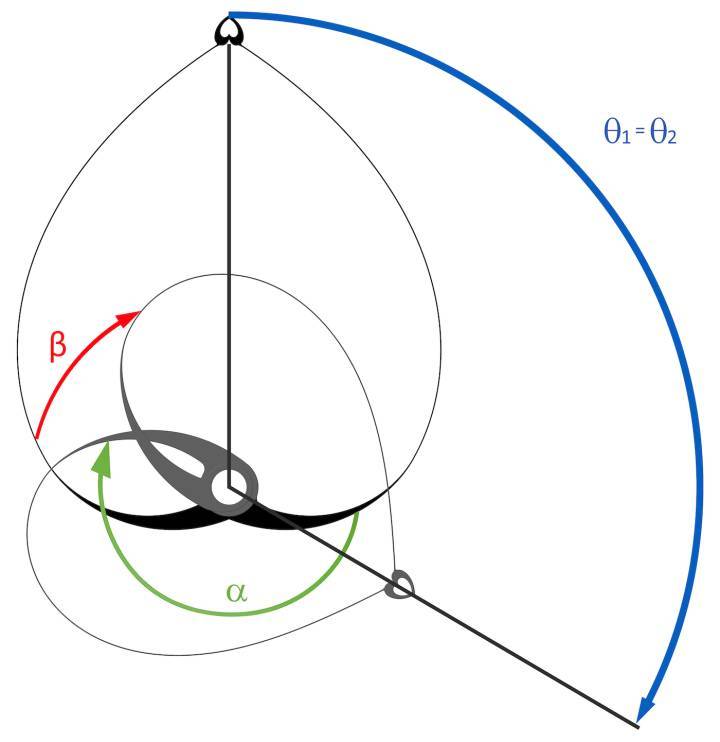 L'aiguille des minutes (indiquée par le coeur) passe ainsi de 60 minutes à 20 minutes. Le parcours accompli par le bras droit et le bras gauche diffèrent (flèche verte et flèche rouge).