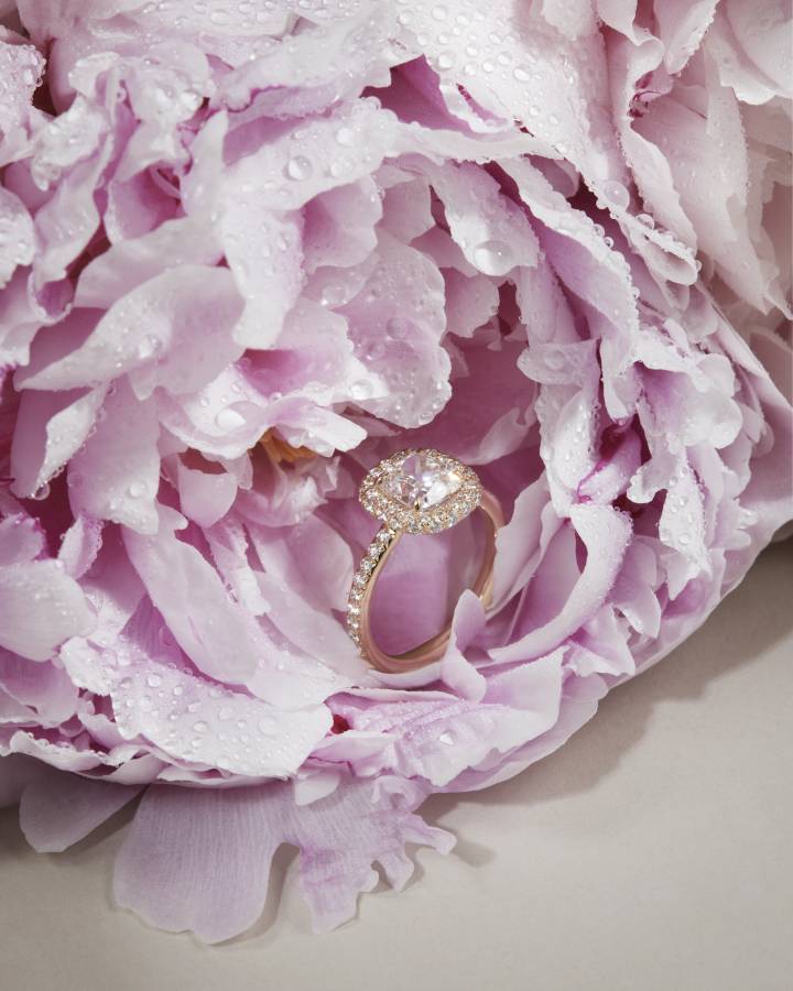 Les bijoux murmurés d'Alice Fournier