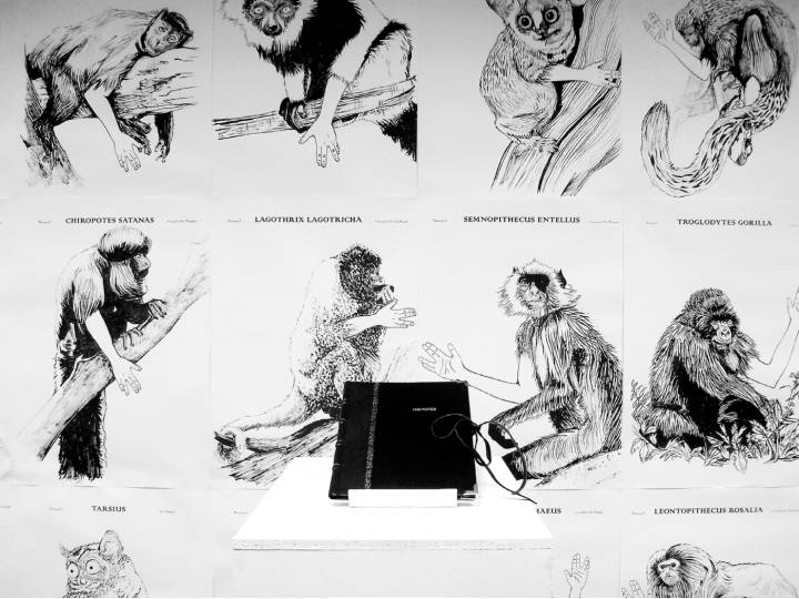 Exposition de 44 illustrations réalisées par l'artiste Debora Martinez dans le cadre de son projet intitulé «Homines», à la Faculté des Beaux-Arts de Málaga (2009).