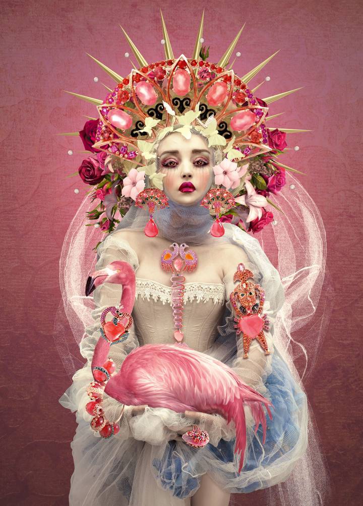 Rosa del Inca collection - illustration de Natalie Shau