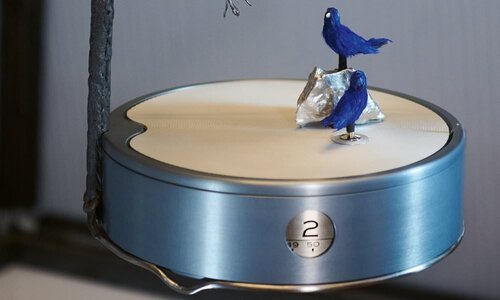 Reuge: ouvrez, ouvrez la boîte aux oiseaux!