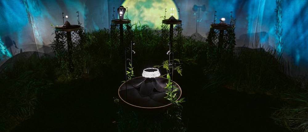 Eugenia Bruni, au nom de la rose