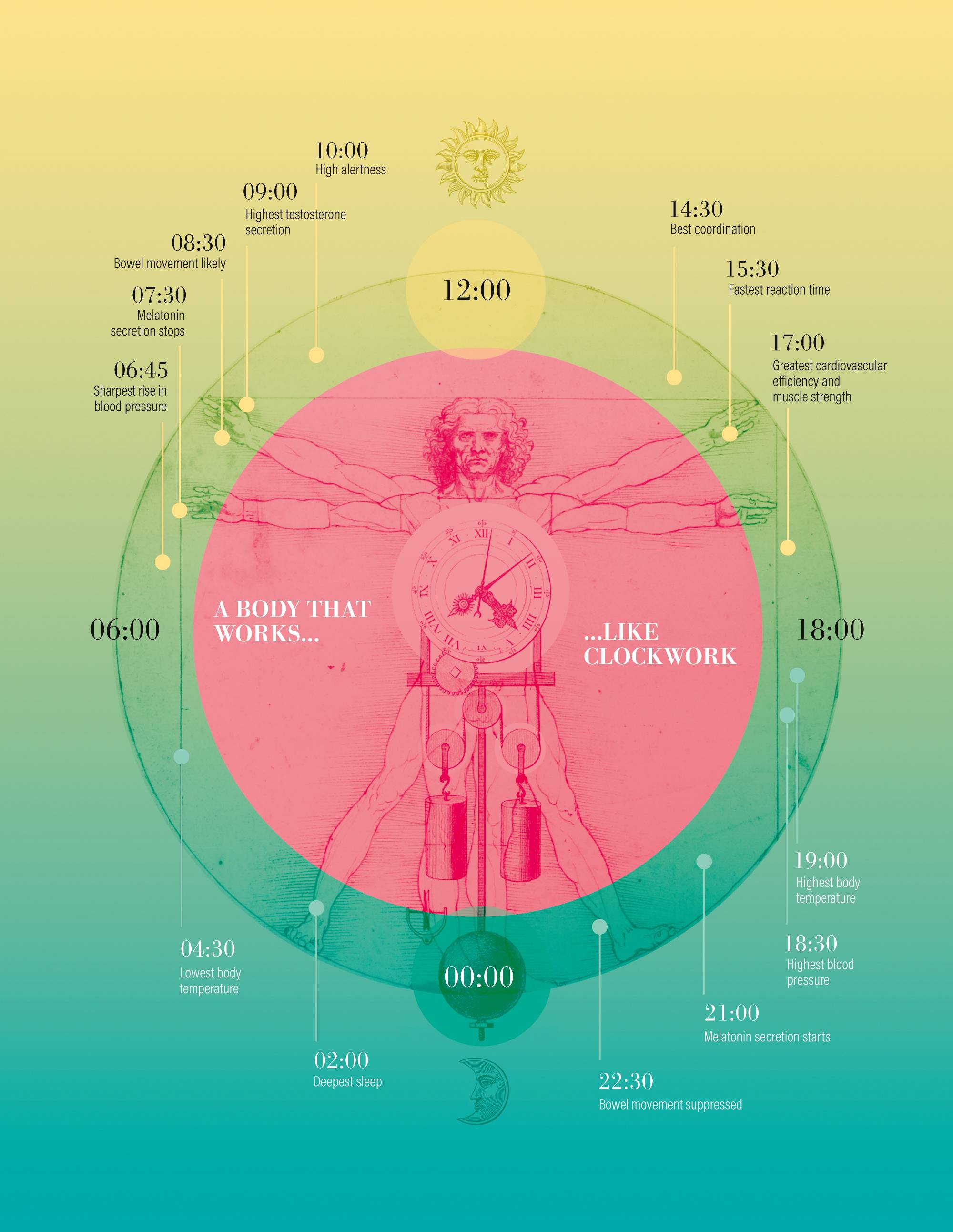 A l'écoute de son horloge interne