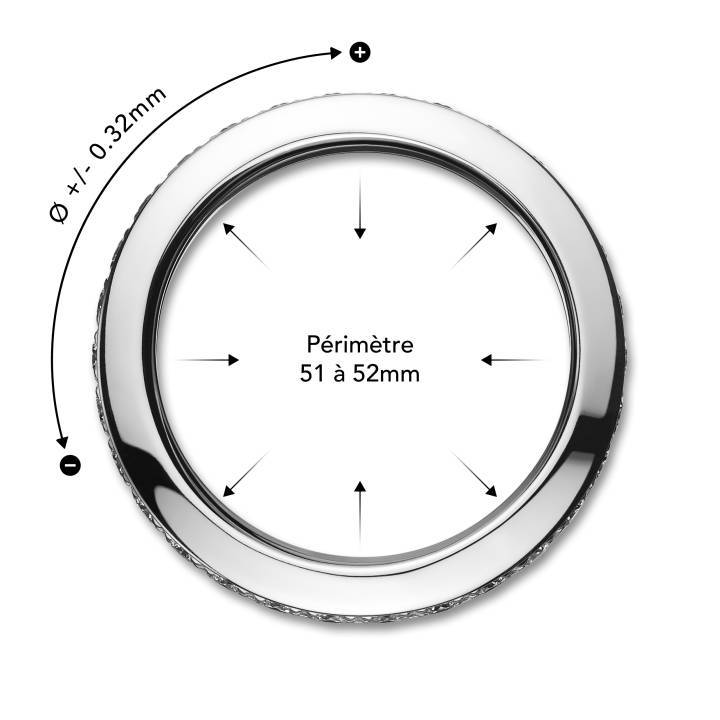Precipro invente la bague «quatre saisons»