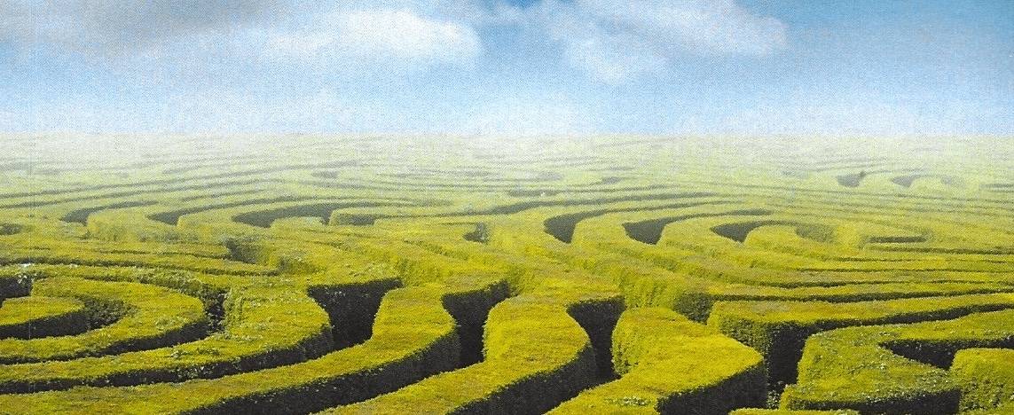 «Labyrinthe managérial»