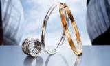 «La joaillerie va continuer de surperformer»