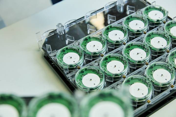COSC: tout savoir sur l'Excellence Chronometer