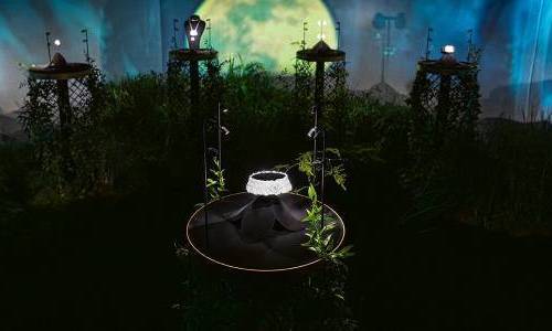 Eugenia Bruni, au nom de la rose