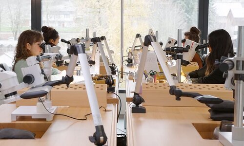 Fanny Queloz: le haut niveau, du sport de compétition aux métiers d'art